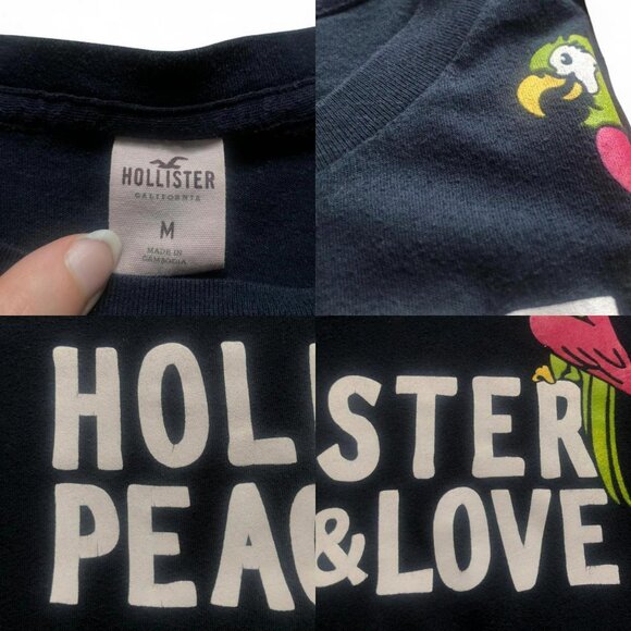 Vintage Hollister Bird T-Shirt - Picture 4 of 4